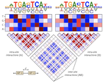 Interpreting cis-regulatory mechanisms from genomic deep neural networks using surrogate models